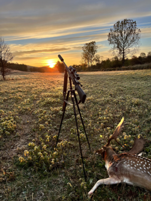 Letvægts Carbon tripod- skydestok