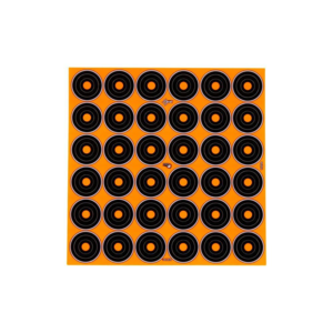 Skydeskive 12 center mål - perfekt til indskydning