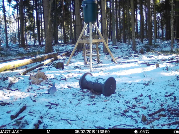 Spromise 328 - vildtkamera med mms/mail