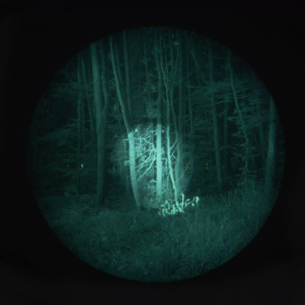 Laserluchs lygte laser (850)