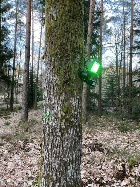 Lys til foderpladsen inkl. solpanel, batteri og PIR sensor (Grøn)