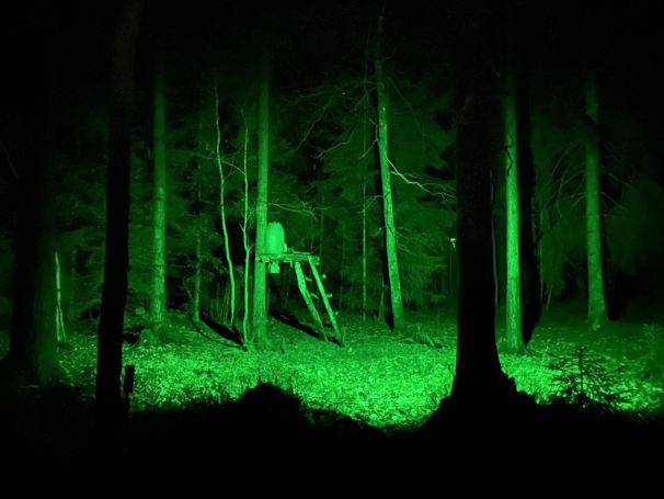 Lys til foderpladsen inkl. solpanel, batteri og PIR sensor (Grøn)