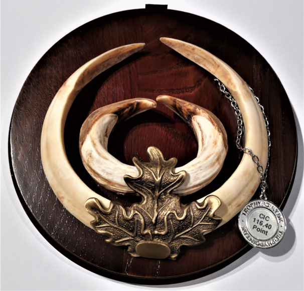 Mørkbejdsede runde trofæ plader (13cm)