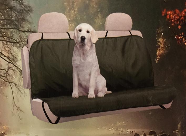 Bil indtræk til bagsæde