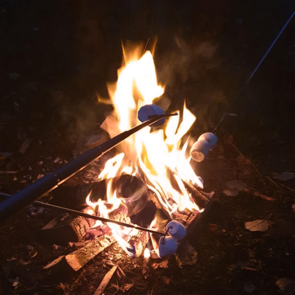 Stabilotherm grill spyd teleskop