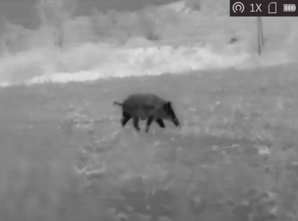 AGM Rattler TC35-384 termisk clip on