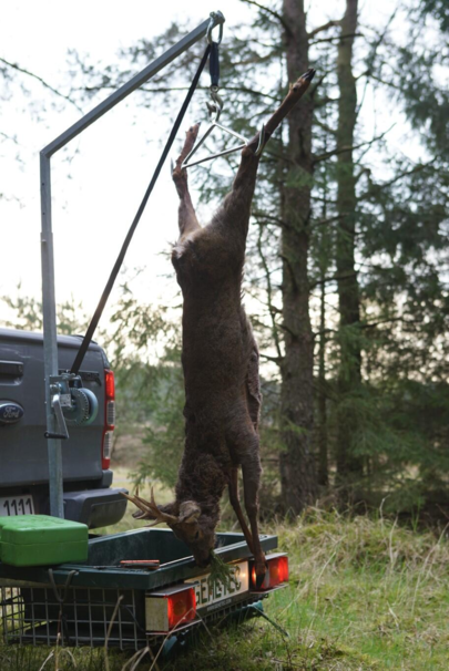 Gehetec galge til vildtkurv