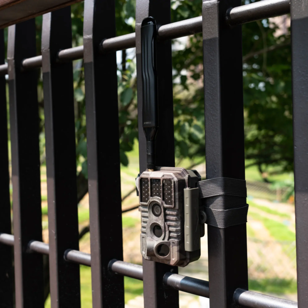 Black S990 LIVE vildtkamera - billeder og videoer til din telefon