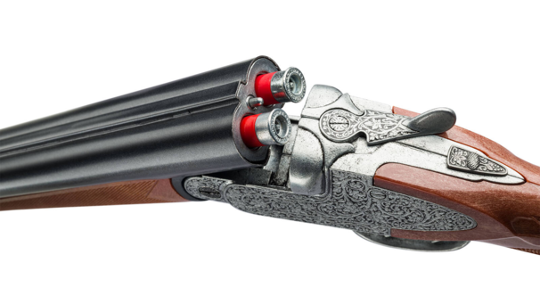 Monte Carlo legetøjs jagtgevær