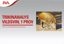 SVA trikin test til vildsvin
