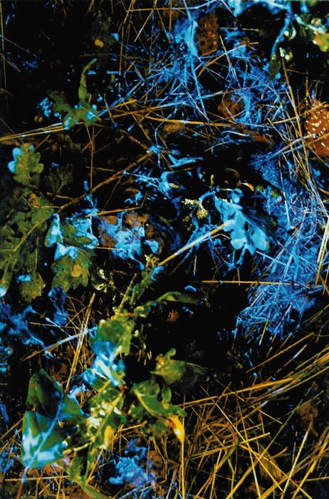 BLUESTAR® blodsporing