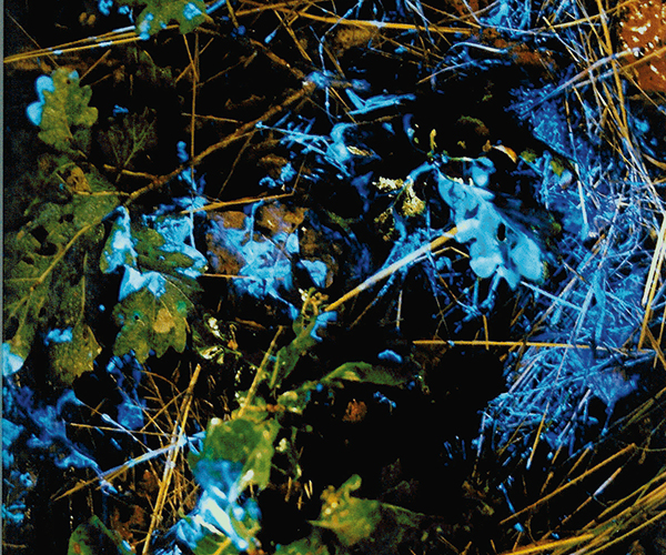 BLUESTAR® blodsporing